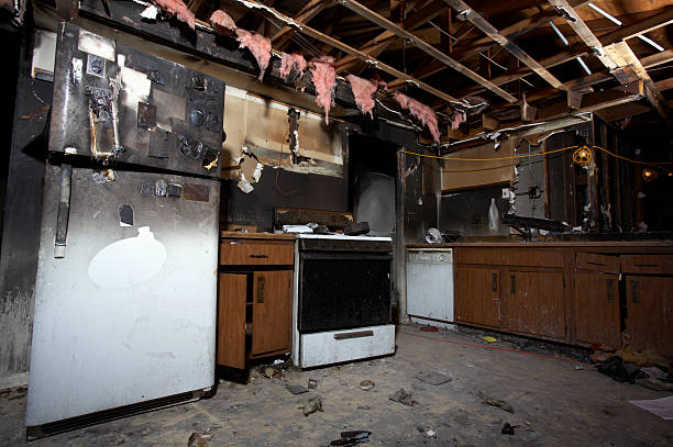 Licensed Fire Damage Repair service in Gainesville, FL - Fire Damage Laser Cleaning
